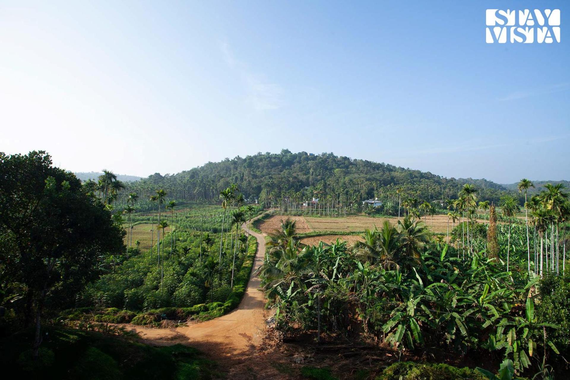 Stayvista At The Big Chill With Breakfast Included Wayanad Eksteriør bilde